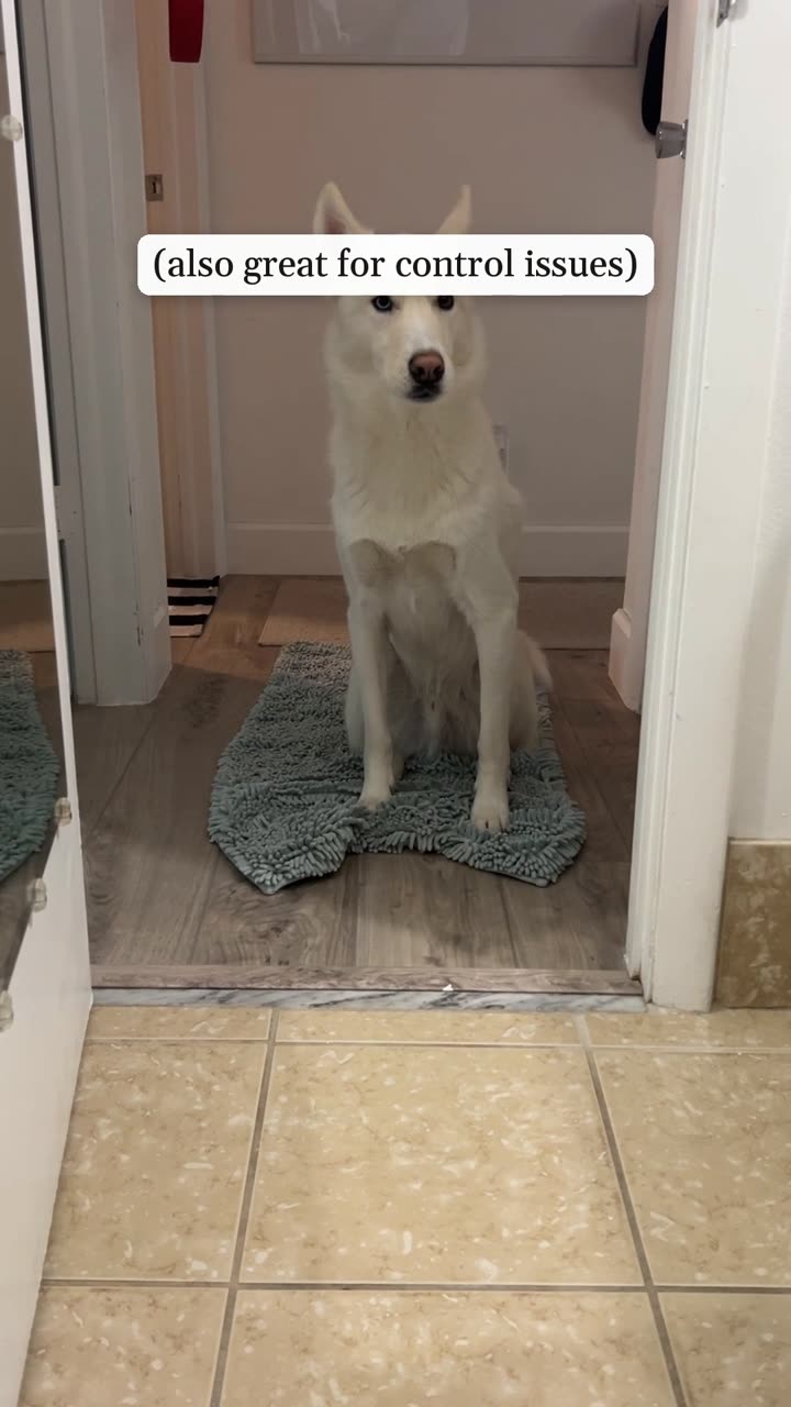 Ghost sitting in the doorway he was caught in on the home camera