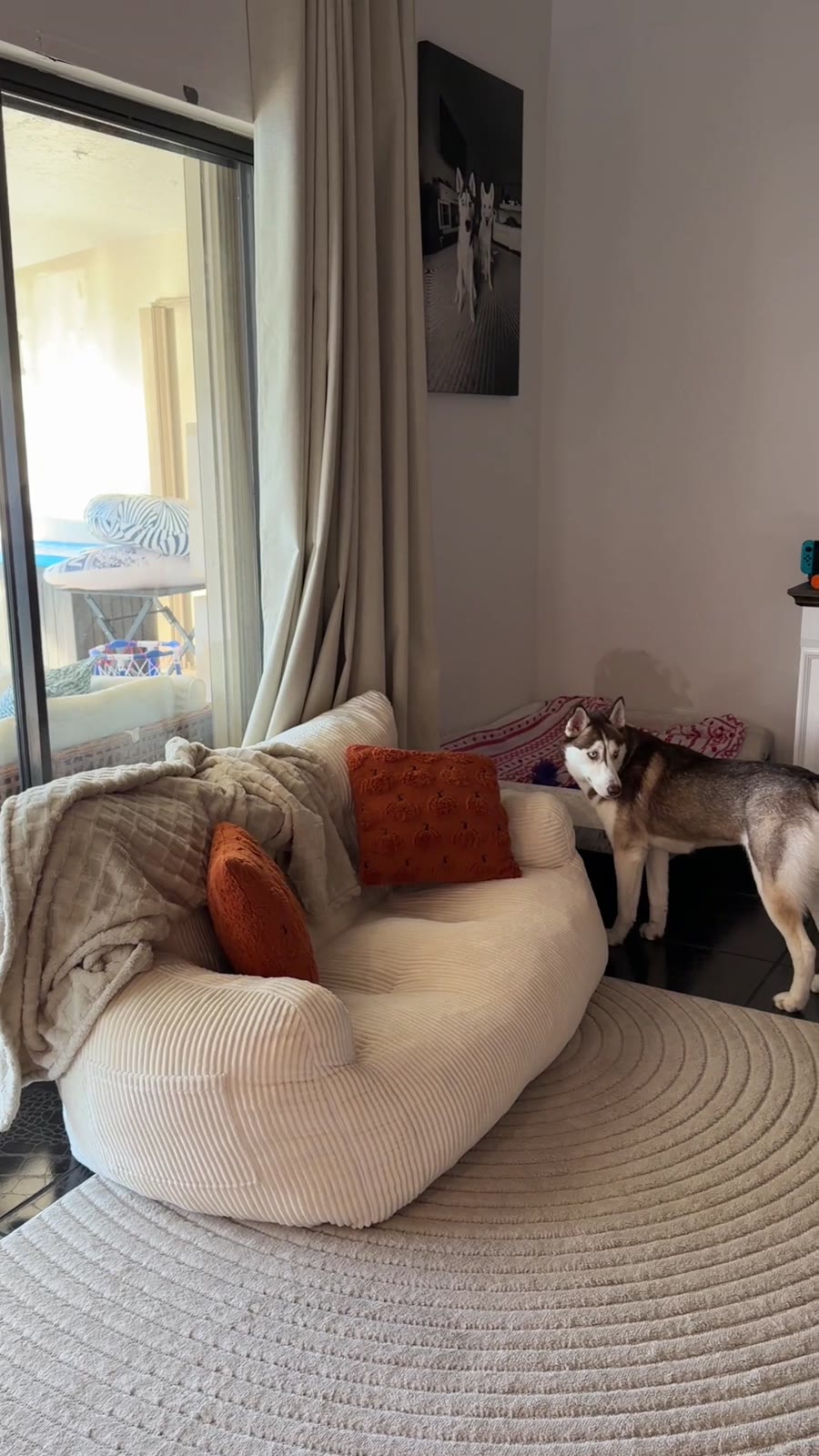 Cozy living room, fireplace, and pet nook available for brand content
